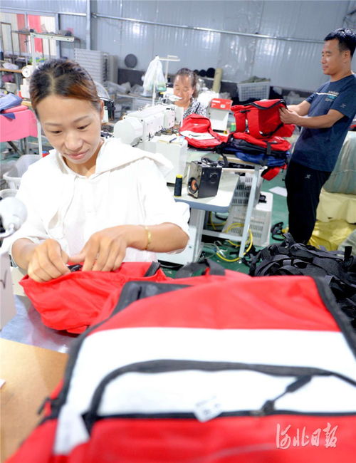 河北邯鄲 微工廠助農增收鳳凰網(wǎng)河北 鳳凰網(wǎng)